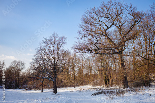 Winter landscape © Für Immer und Ewig