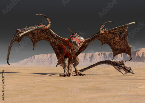 dragon is standing up alone on desert © DM7