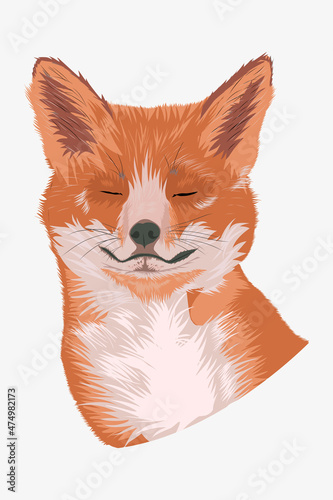 Cute red fox portrait. A fox with large fluffy ears. Fennec, arctic fox. Vector eps illustration.