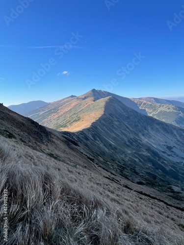 Landscape in the morning