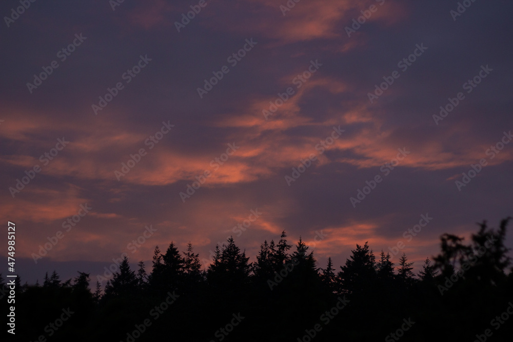 Fototapeta premium Sunset sky