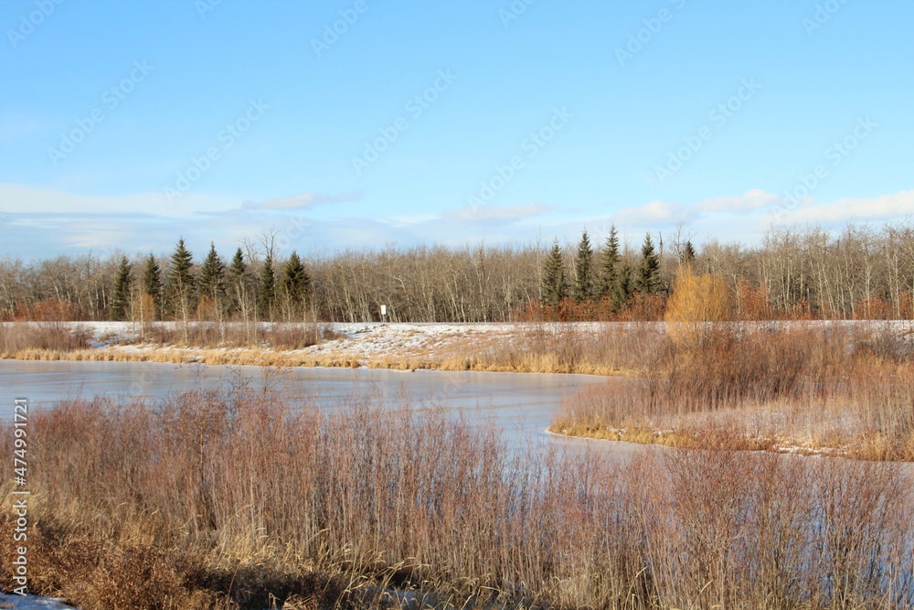 Frozen Wetlands Frozen Wetlands