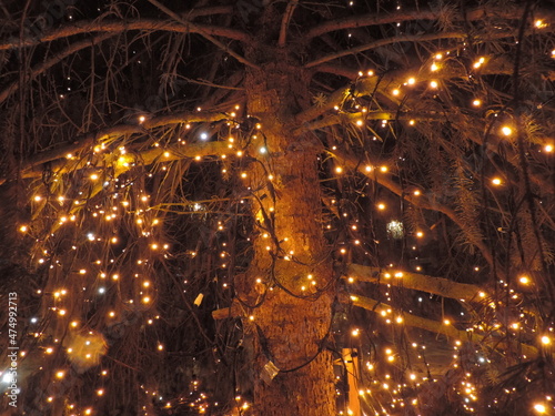 Christmas Lights Under Tree