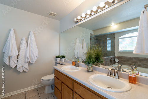Real Estate interior design decor of modern bathroom for home buying market.