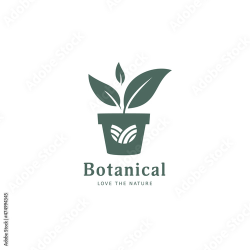 Botanical plant gardening logo template
