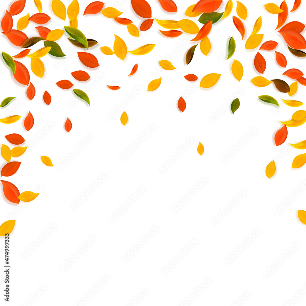 Falling autumn leaves. Red, yellow, green, brown c