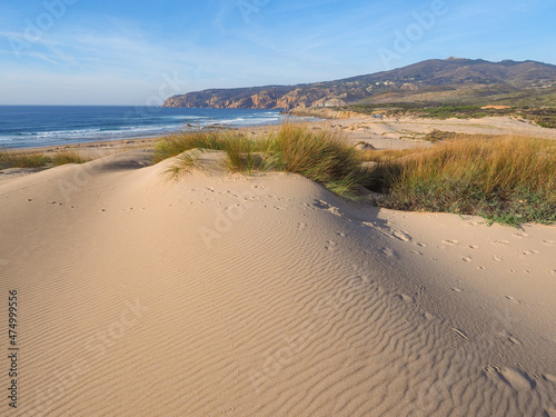 Amazing view to the sandy mountain with local vegetation and blue sky. Cresmina Dunes is a part of the Guincho - Oitavos dune system, located on the edge of the Sintra-Cascais Natural Park in Portugal