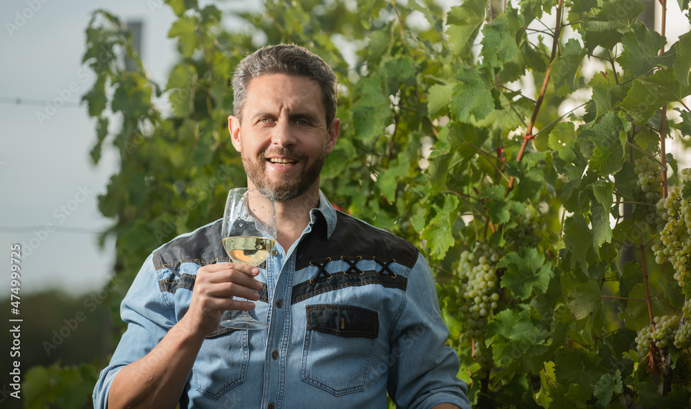 bearded man with wine glass. happy enologist with wineglass. sommelier. bearded man with wine glass. happy enologist with wineglass. sommelier.
