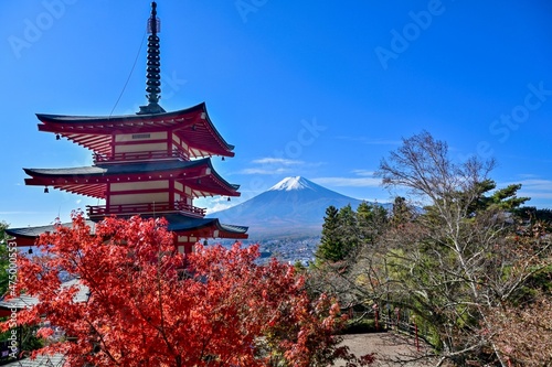 展望台から見る青空バックの富士山と五重塔のコラボ情景＠山梨