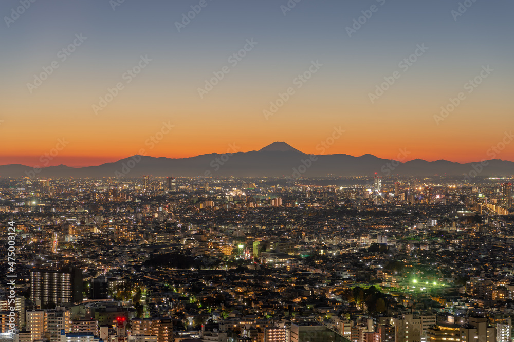 東京都渋谷区恵比寿から見た夕方の東京の都市景観