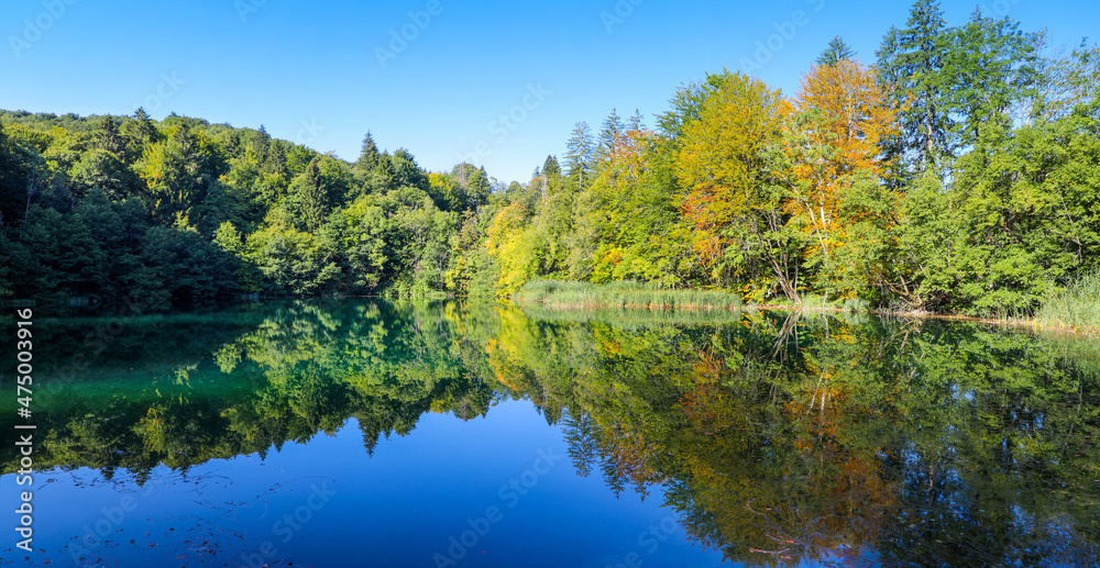 Trees reflecting on the calm waters of Plitvice Lakes Croatia