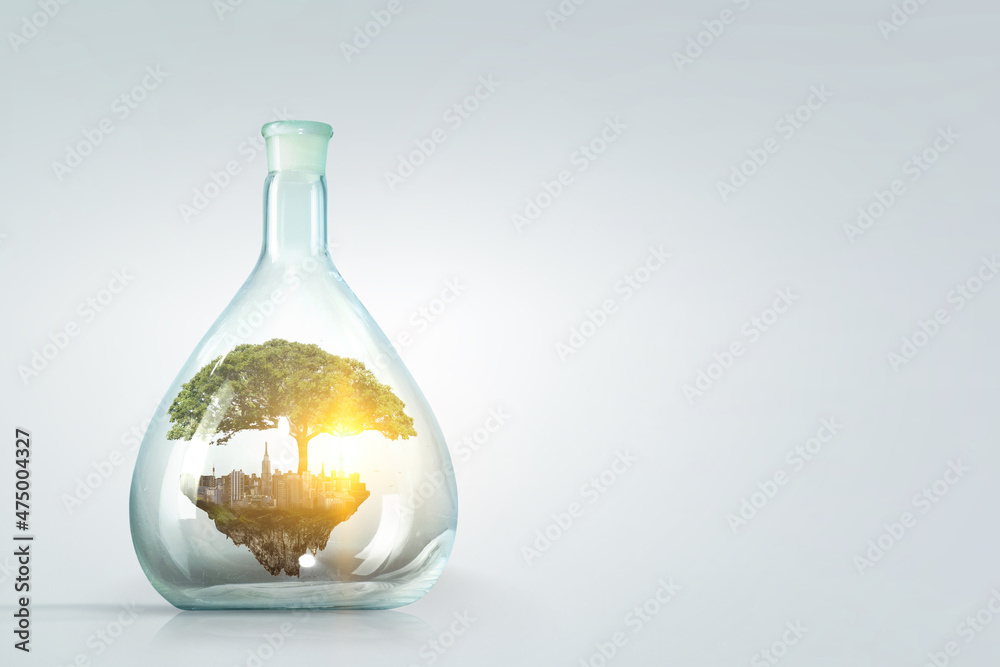 Tree growing inside clear glass bottle Tree growing inside clear glass bottle