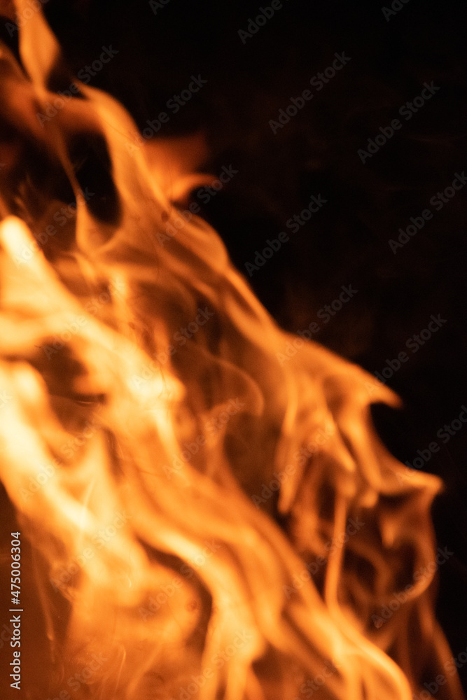 Fototapeta premium Fire flames on black background. lights on a black background.