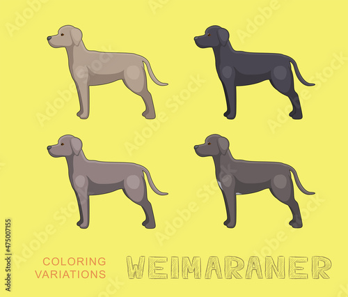 Dog Weimaraner Coloring Variations Cartoon Vector Illustration