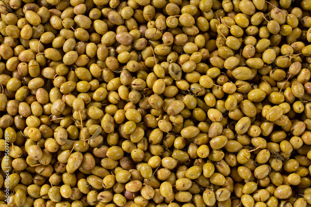 A top down background view of brined green olives. A top down background view of brined green olives.