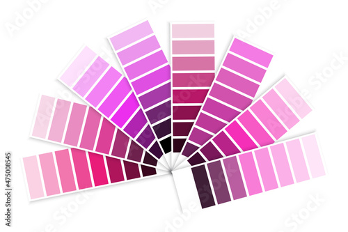 Pink palette swatches set. Color tones. Modern design. Simple line art. Pastel brights. Vector illustration. Stock image. 