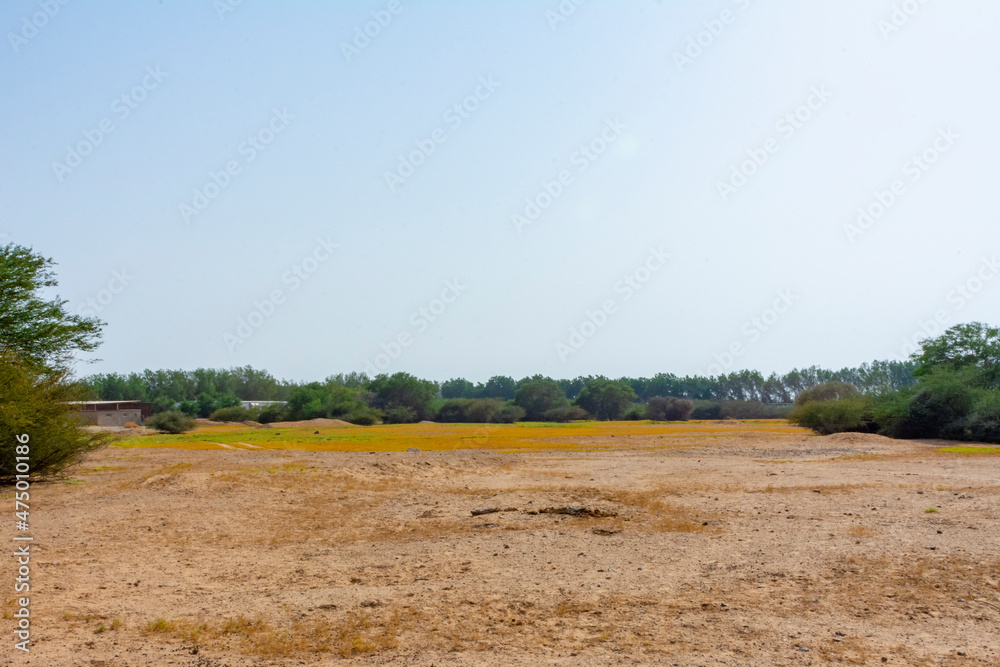 Fototapeta premium Landscape