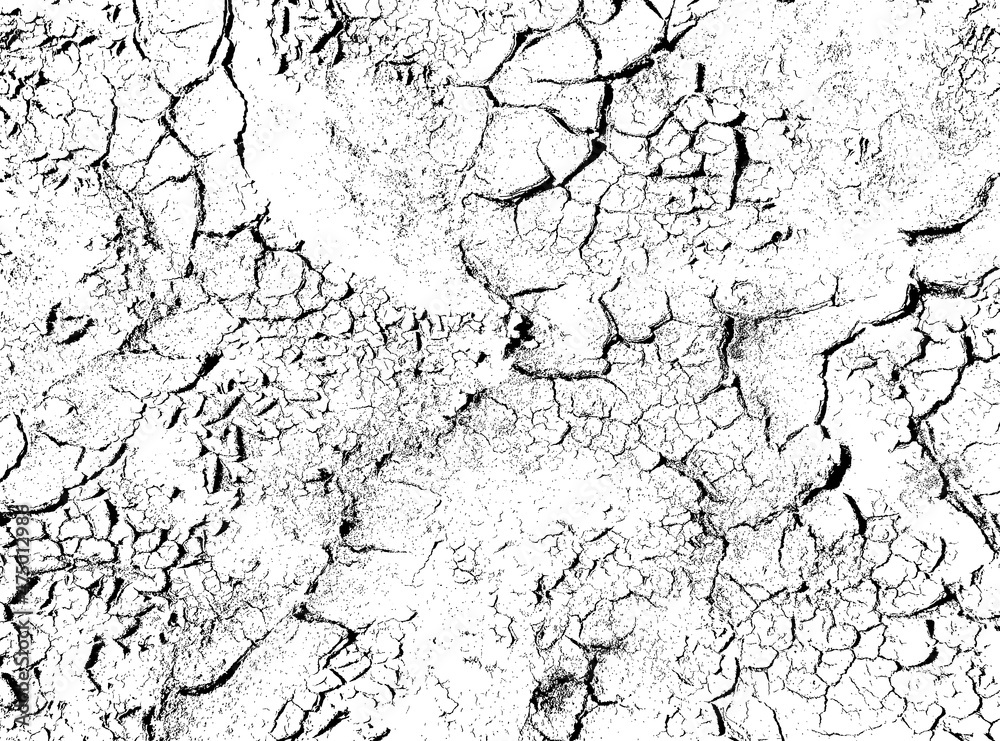 The texture of cracks. Cracked dry earth. Black and white vector illustration.