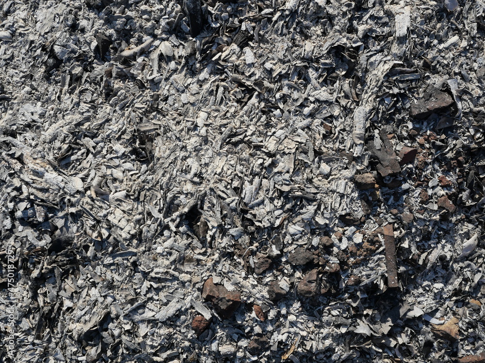 Gray with brown and white abstract lines on black surface , The ashes of the burned tree , Texture for add text or graphic design Gray with brown and white abstract lines on black surface , The ashes of the burned tree , Texture for add text or graphic design