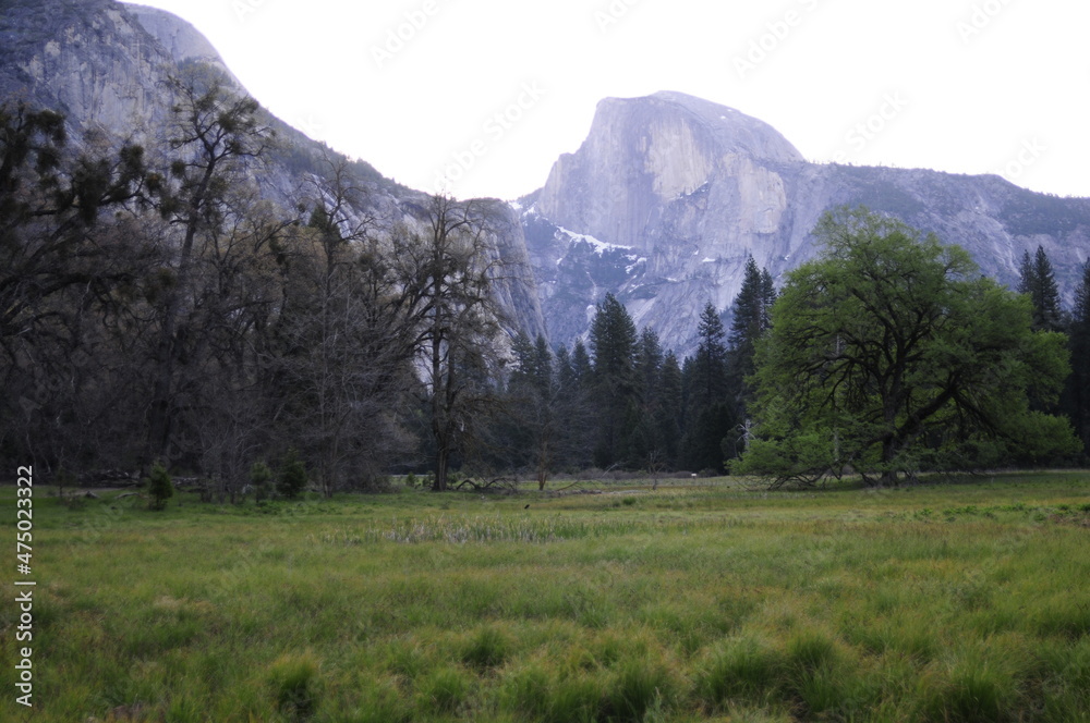 Fototapeta premium Half Dome Yosemite National Park day time sunny