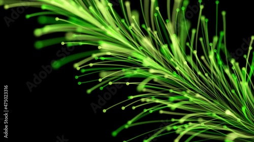 Stylish animation of a bright branch dynamically and elegantly growing on a black background. Magical fabulous vegetation. The perfect background and element of any design