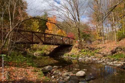 Spectacular Autumn Foliage in Toronto Ravine