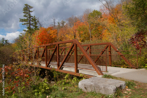 Spectacular Autumn Foliage in Toronto Ravine