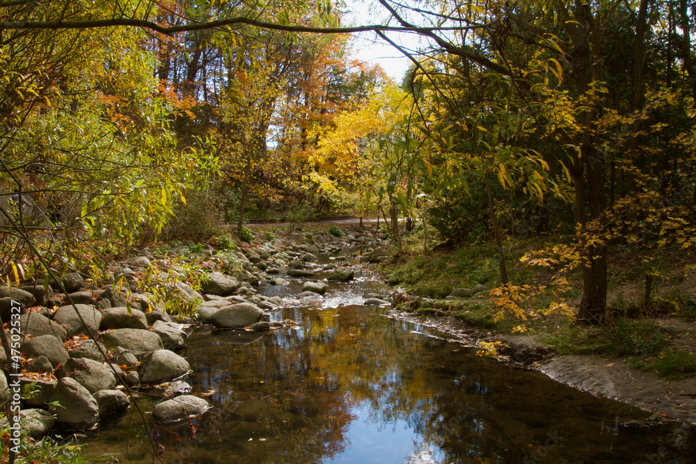 Spectacular Autumn Foliage in Toronto Ravine Spectacular Autumn Foliage in Toronto Ravine