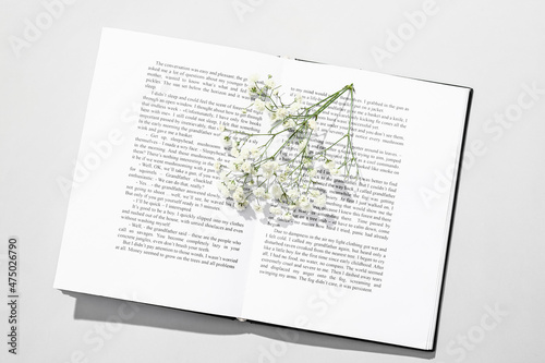 Book and beautiful gypsophi...