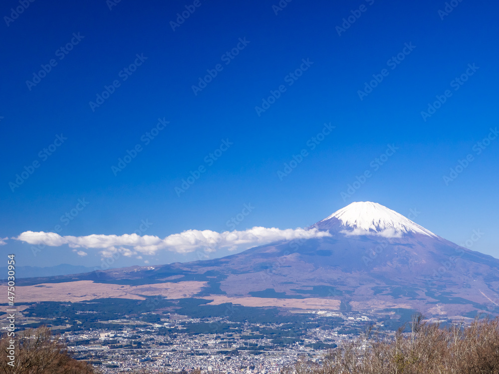 Snowy Mount Fuji and town (view from the summit of Mt.Kintoki, Hakone, Kanagawa, Japan)