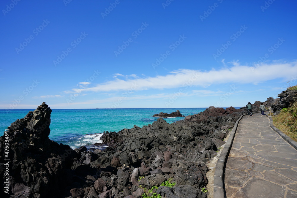 a seaside walkway and clear blue sea