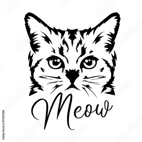 Isolated Line Art Cat Face and white background