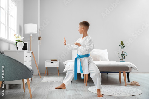 Little boy studying karate ...