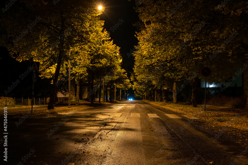 Autumn view of empty street at night.