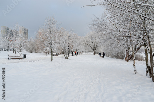 A walk in the city winter park in December © Valery Kleymenov
