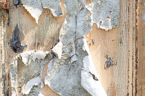 Old shabby wooden door. Wood surface with peeling white and beige paint texture background. Chunks of paint hang downl. Decay and ruins. photo