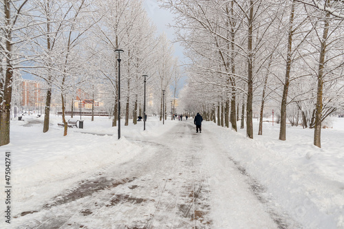 Winter alleys of the city park
