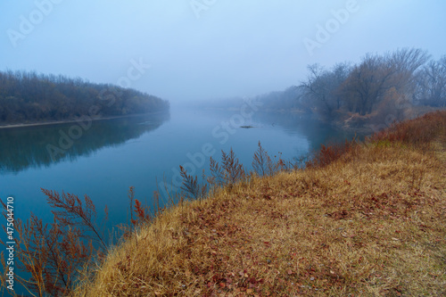 wild natural landscape, late autumn season, river, bare branches of trees without leaves, cloudy weather with haze, forest with silhouettes of trees