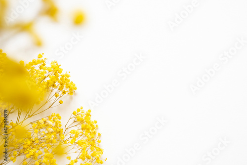 Trending concept in natural materials with yellow plant on white background. Presentation with daylight. Abstract beautiful backdrop for text or advertising. © Alex Shi