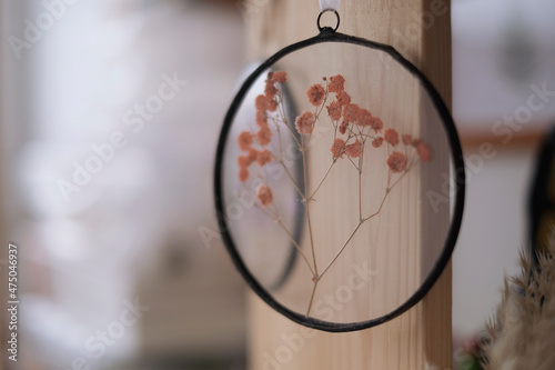 Herbarium of dried different plants and flowers. Natural decorative elements for home decoration.