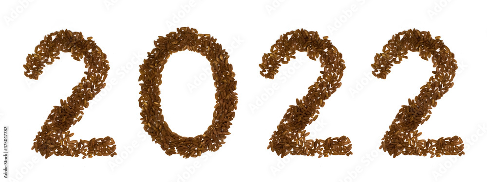 Digits 2022 black rice inscription isolated on white. Flat lay, top view Digits 2022 black rice inscription isolated on white. Flat lay, top view