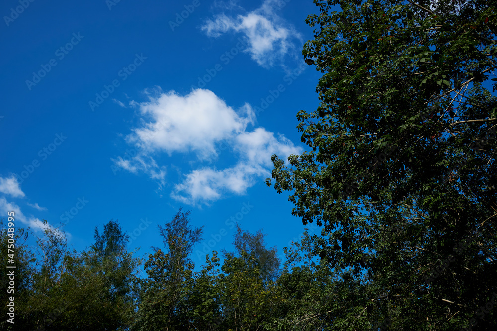 sky and clouds