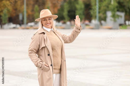 Beautiful mature woman in s...