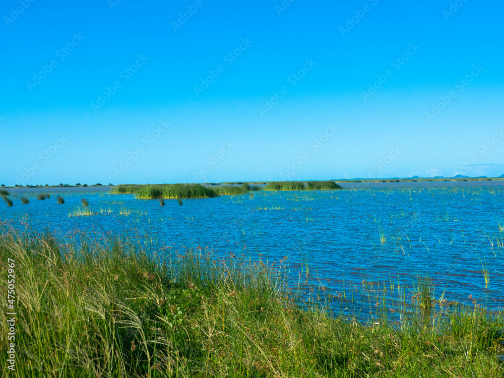 A pristine lagoon on the wild coast of iSimangaliso Wetland Park. Maputaland, an area of KwaZulu-Natal on the east coast of South Africa. Wetland Park of ecosystems and an diversity of vegetation.
