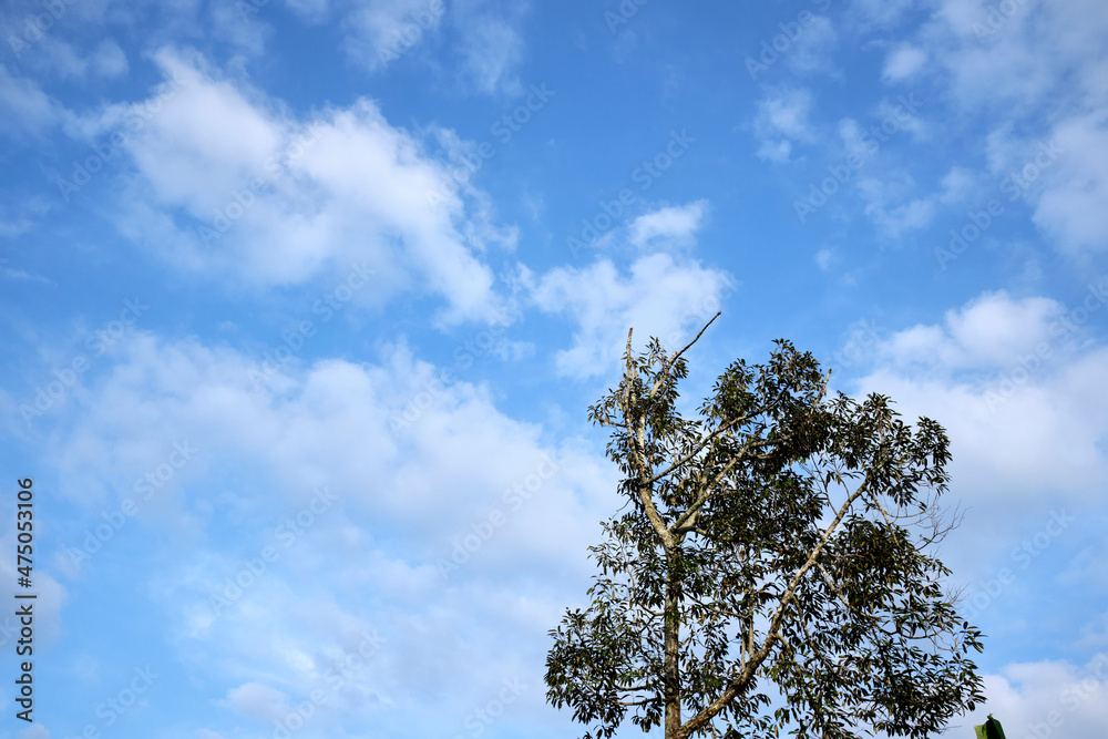 Obraz premium sky and clouds