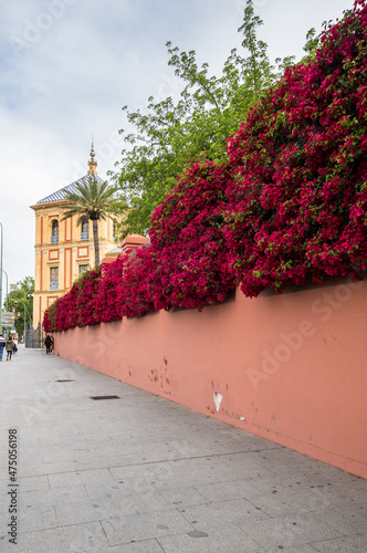 Foto View of the street in Seville
