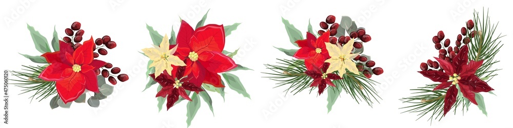 Floral vector elements for Christmas design. Red and light poinsettia, berries, spruce branches, eucalyptus, green leaves and plants. Flower compositions on a white background.