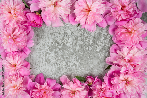 fresh peonies on grey cement background