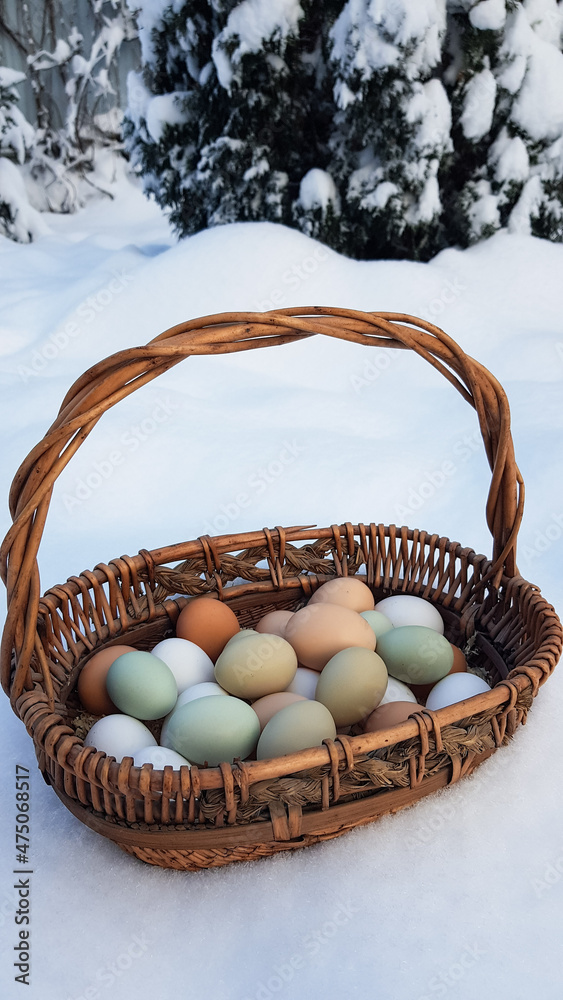 a wicker basket with farm eggs of various natural shades and colors stands on the snow. chickens lay eggs a wicker basket with farm eggs of various natural shades and colors stands on the snow. chickens lay eggs