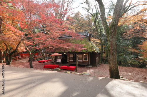秋の奈良公園　水谷茶屋